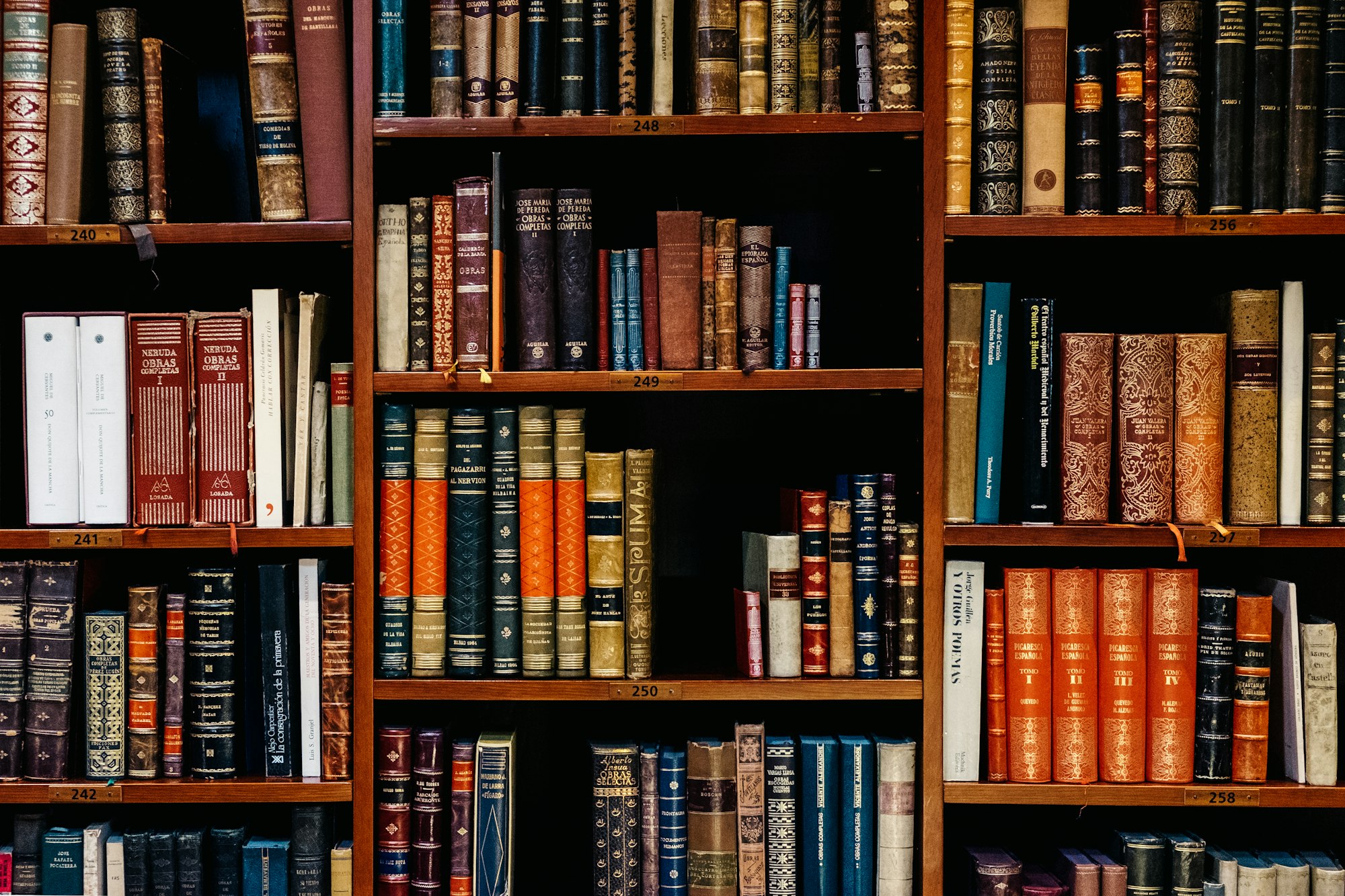 Bright community library interior with shelves of books