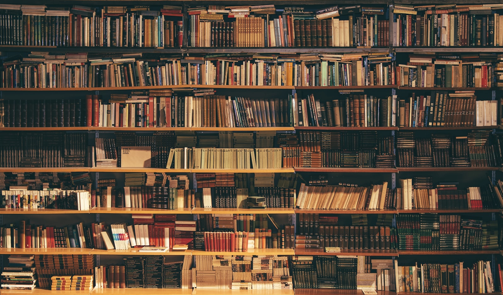 Library shelves filled with books