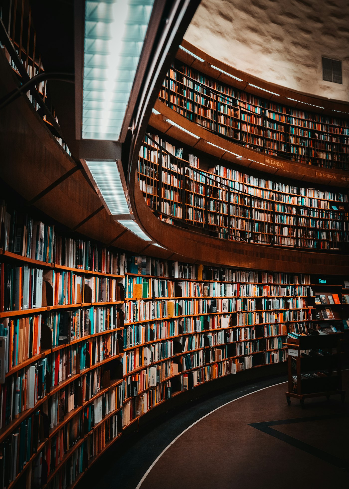 Rows of library books representing decades of community investment